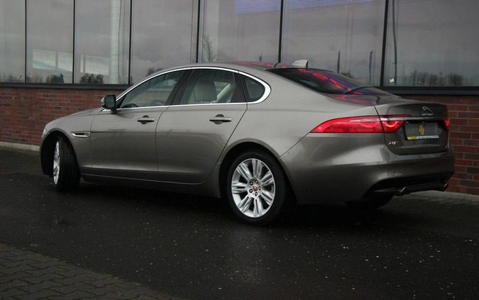 Jaguar XF cena 125990 przebieg: 23000, rok produkcji 2018 z Łasin małe 781